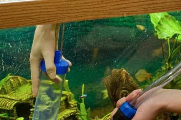 aquarium cleaning service kansas