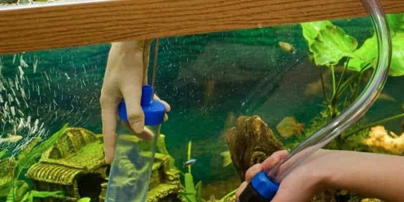 aquarium cleaning service kansas