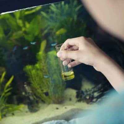 aquarium installer kansas