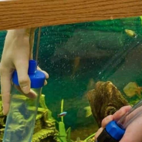 aquarium maintenance service in johnson county