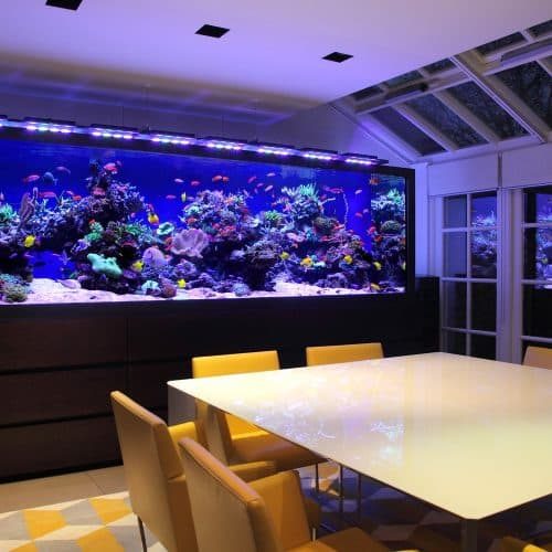 aquarium moving service